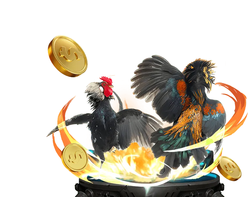 Các chương trình khuyến mãi hấp dẫn tại Go8